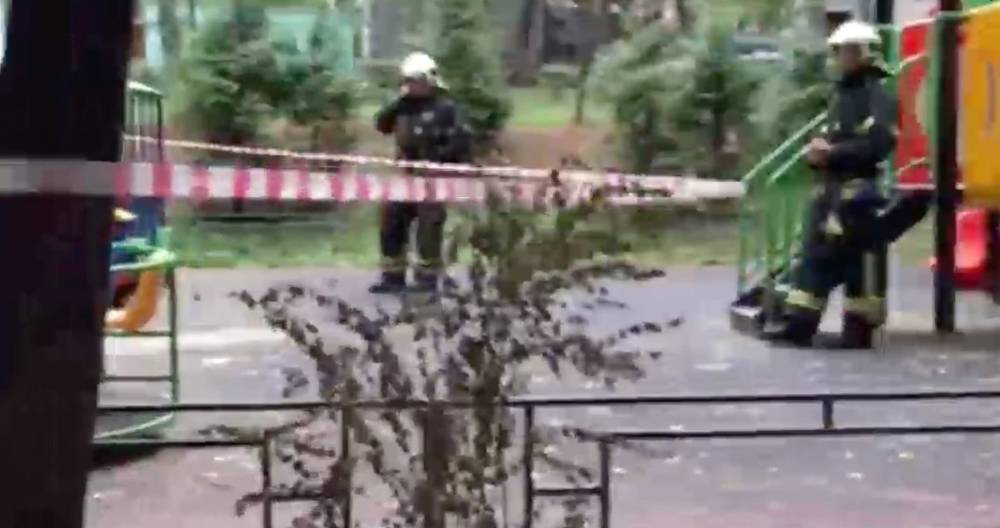 Депздрав подтвердил гибель ребенка от падения дерева в Москве