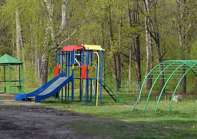 На детской площадке в Москве трехлетнего ребенка убило упавшим деревом