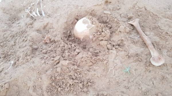 Жители Соль-Илецка обнаружили в полях останки человека