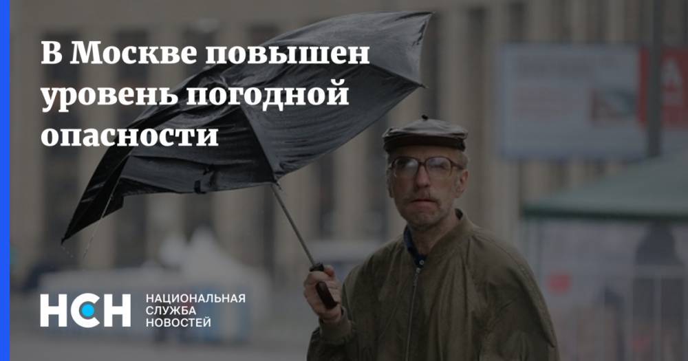 В Москве повышен уровень погодной опасности