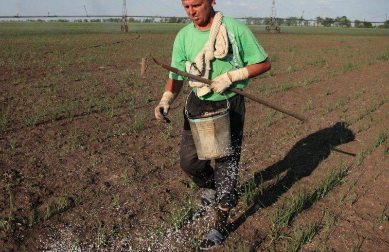 Риски бесчисленны: украинскому бизнесу и сельхозпроизводителям вынесли вердикт | Политнавигатор
