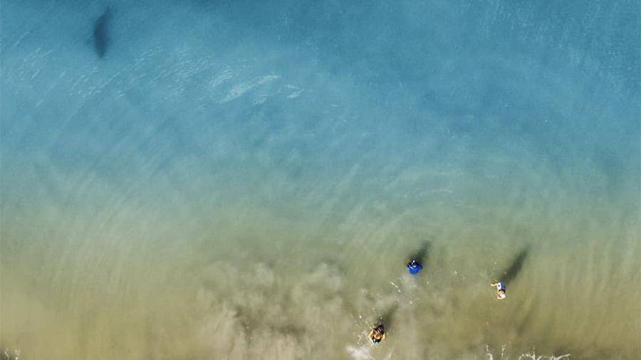 Мужчина в США сфотографировал детей на пляже с дрона и спас им жизнь