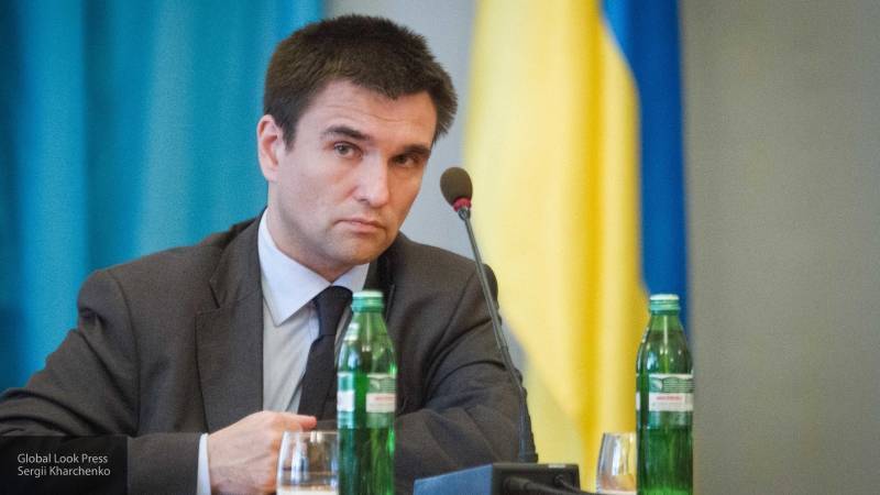 В ГД прокомментировали призыв Климкина приостановить участие Украины в ПАСЕ