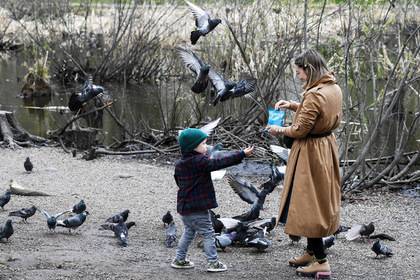 Российский мэр запретил кормить голубей