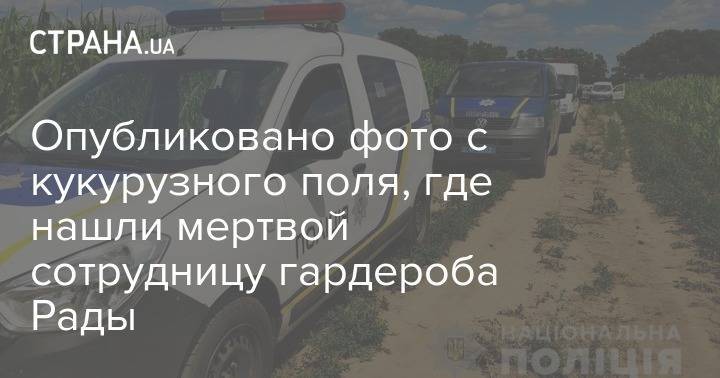 На кукурузном поле в Киевской области нашли еще один труп задушенной женщины в возрасте