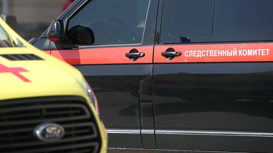 Уголовное дело возбудили по факту гибели ребенка на детской площадке в Москве