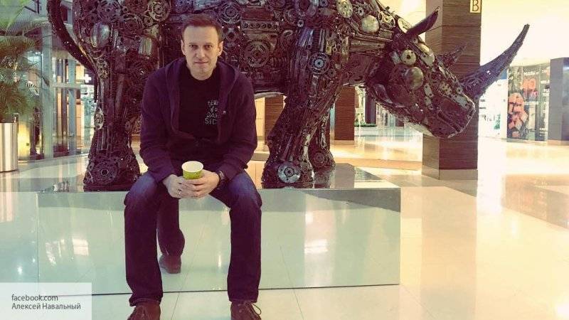 Навальный и Волков тратят «народные» пожертвования на «домашние нужды» и красивую жизнь