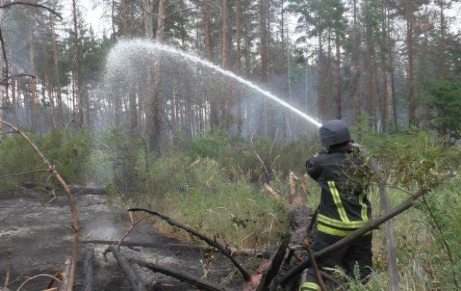 Пожар в лесу в Луганской области ликвидирован