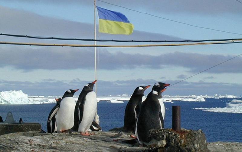 Украина собралась осваивать Арктику
