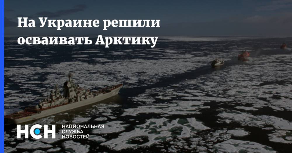 На Украине решили осваивать Арктику