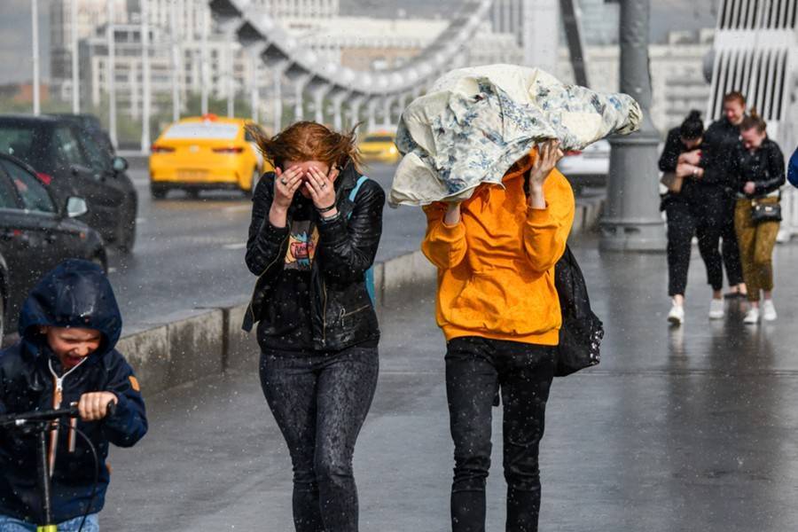 Москвичей предупредили о порывистом ветре в субботу
