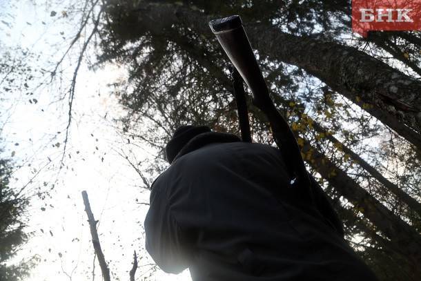 Охотникам Усинска разрешили убить двух медведей в июле