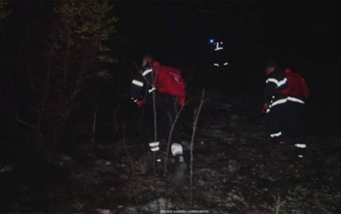 Крупный пожар на армяно-грузинской границе: огонь тушили 65 пожарных — видео