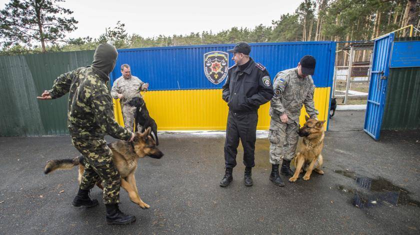 На Украине потеряли флешку с секретными документами по "Стене Яценюка"