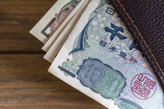 Опыт Японии доказывает, что что страны с собственной валютой могут иметь неограниченный долг