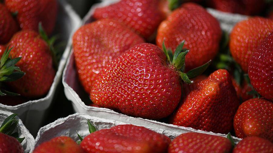 В Госдуме предложили открыть пункты приема ягод у населения