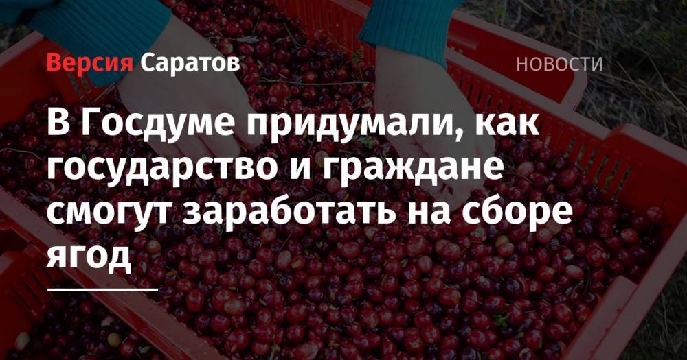 В Госдуме придумали, как государство и граждане смогут заработать на сборе ягод