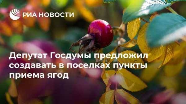 Депутат Госдумы предложил создавать в поселках пункты приема ягод