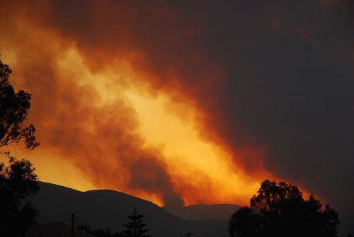 Сезон лесных пожаров: греки не могут совладать со стихией