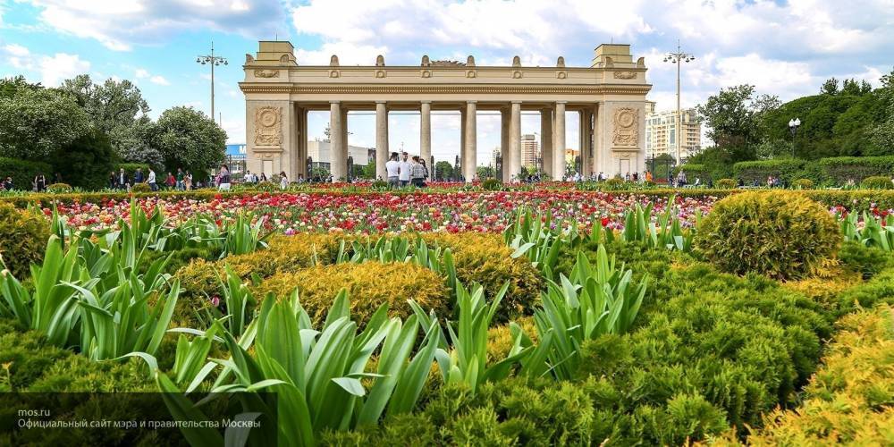 В Парке Горького открылся самый большой сад «Цветочного джема» в Москве