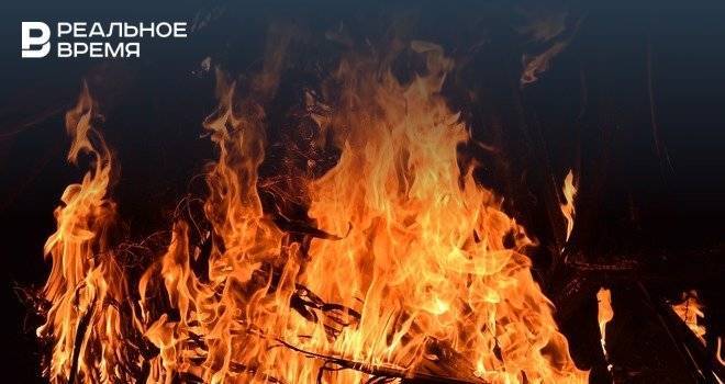 В Башкирии принят закон о наказании за сжигание мусора и листвы
