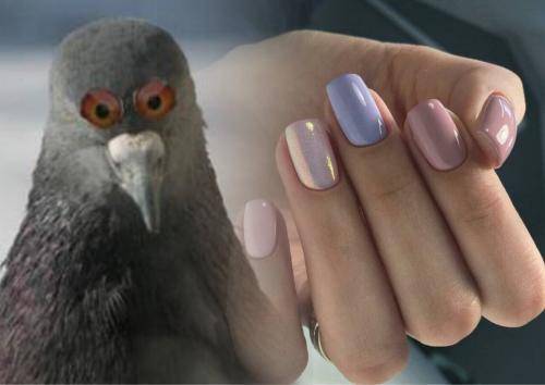 «К вам приходил наркоконтроль?»: «Какающий голубь» на ногтях россиянки взорвал Сеть