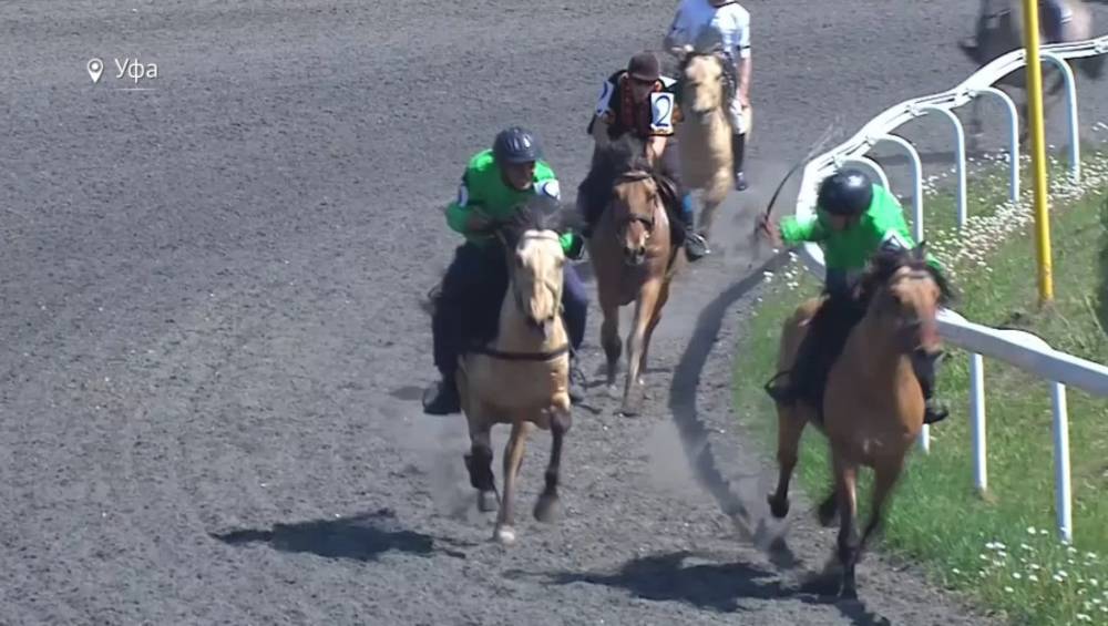 В Уфе пройдет 7 этап конно-спортивного турнира «Терра Башкирия»