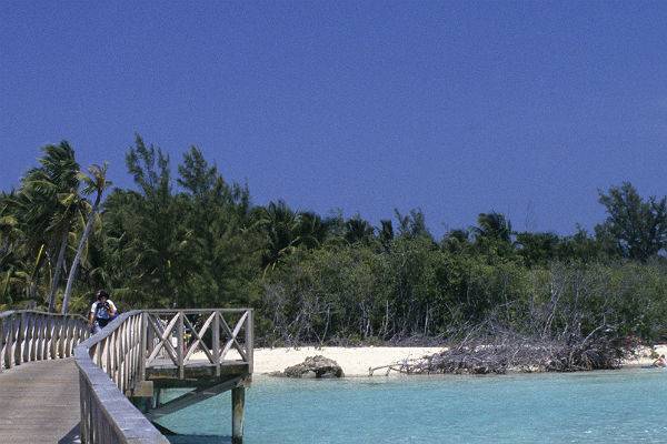 Миллиардер разбился на вертолете на Багамах