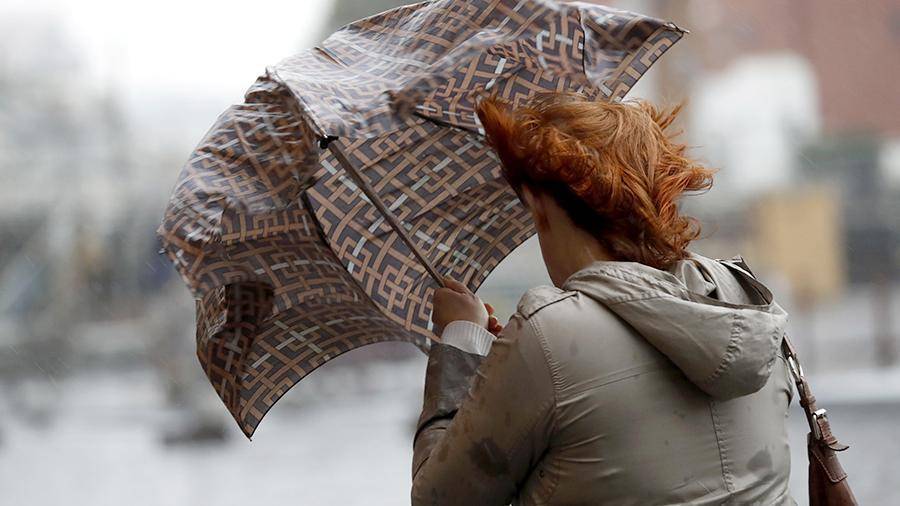 Синоптики предупредили о сильном ветре в Москве 5 июля