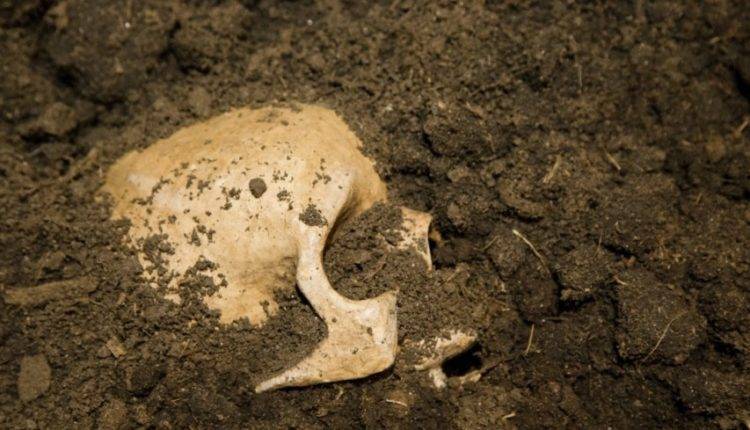 В Китае нашли древнейшие черепа со следами деформации