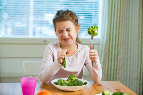 Чем кормить ребенка, который не хочет пробовать новые блюда
