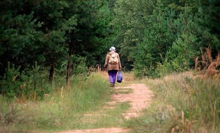 В Калинковичском районе нашли пенсионерку, которая более суток провела в лесу