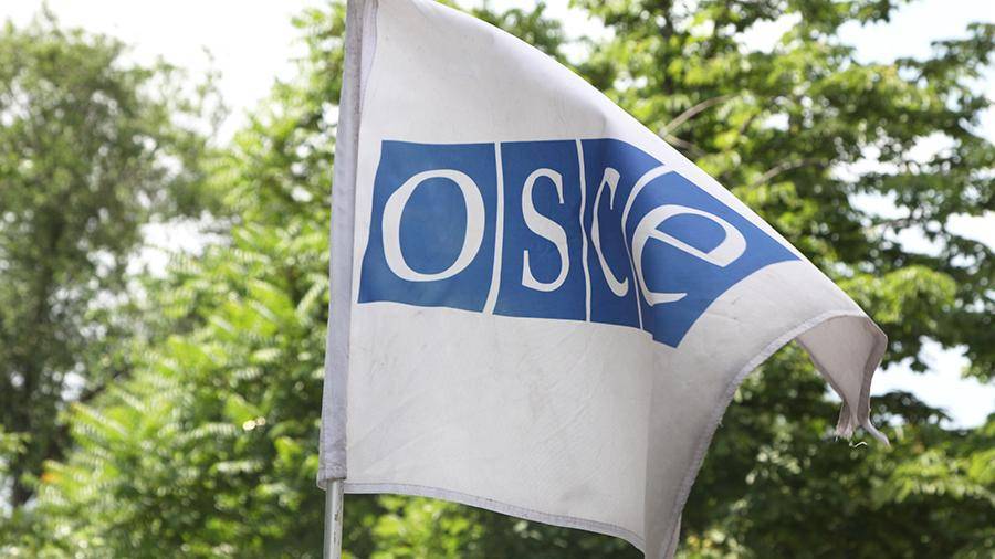 ПА ОБСЕ приняла украинскую резолюцию по Крыму