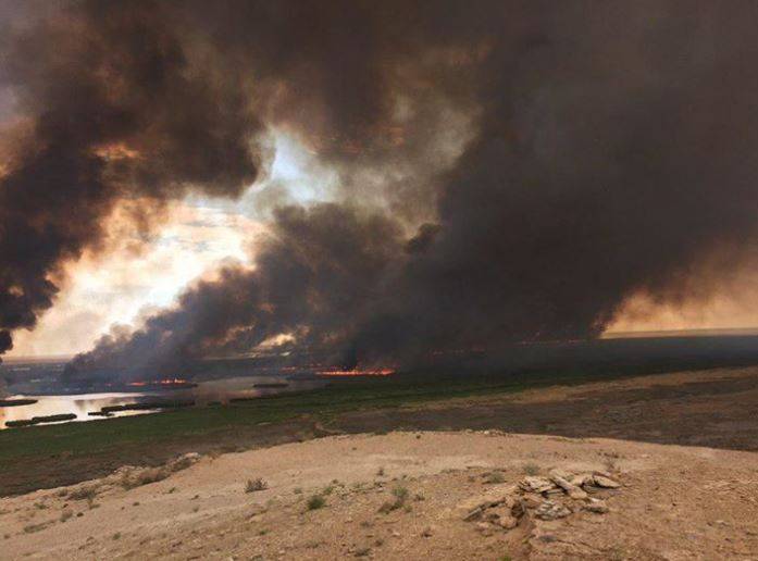 В Муйнаке тушат крупный пожар на озере Судочье | Вести.UZ
