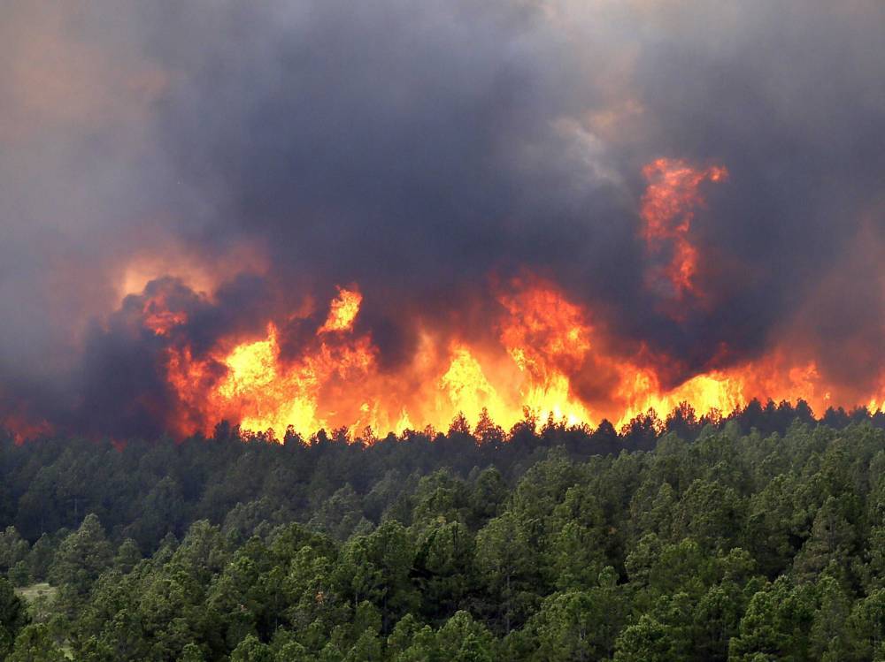 В Иркутской области обнаружили 37 новых лесных пожаров