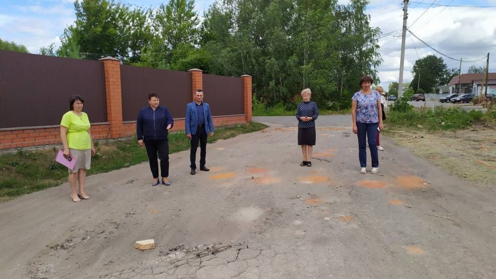 Жители поселка Александро-Невский пожаловались Елене Митиной на плохое состояние дороги | РИА «7 новостей»