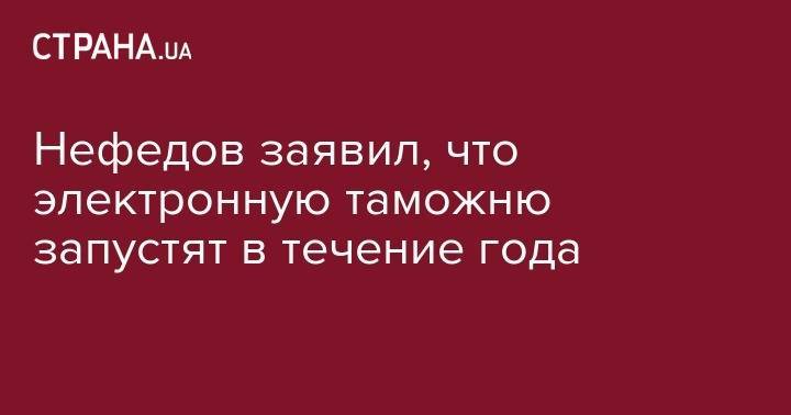 Нефедов заявил, что электронную таможню запустят в течение года
