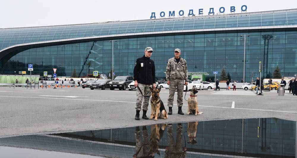 В Домодедове не выявили угроз безопасности