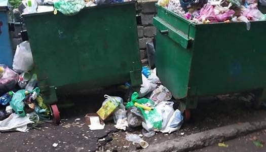 Власти Львова вернули полномочия по вывозу мусора