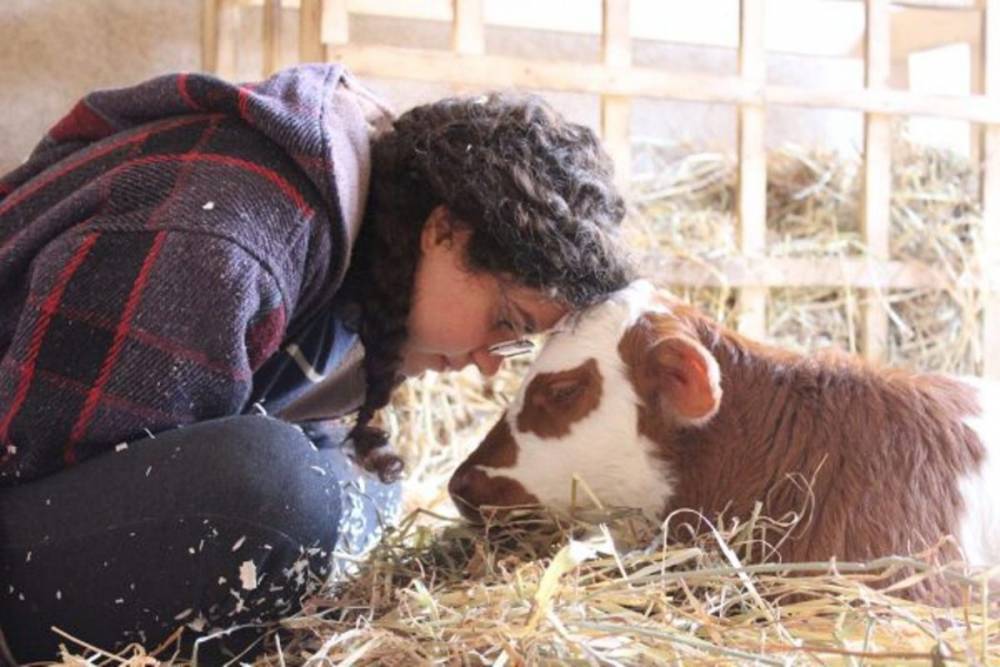 Израильская ферма, где дают приют животным-инвалидам