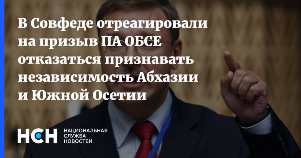 В Совфеде отреагировали на призыв ПА ОБСЕ отказаться признавать независимость Абхазии и Южной Осетии