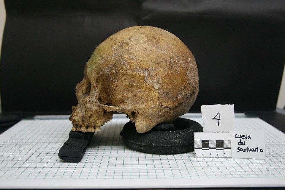 Археологи нашли останки древнего человека возрастом 1,8 миллиона лет в Индонезии