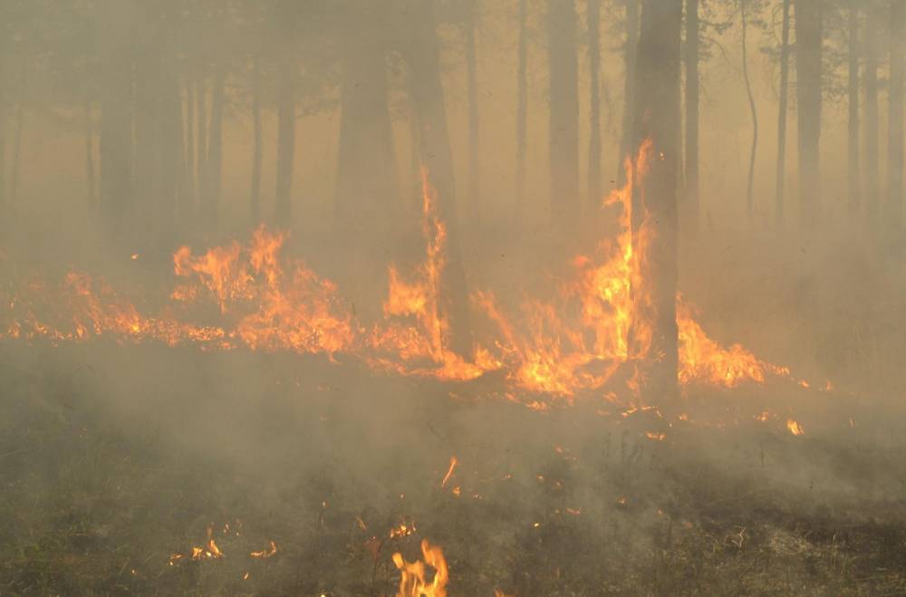 На севере Бурятии ввели режим ЧС из-за сложной лесопожарной обстановки