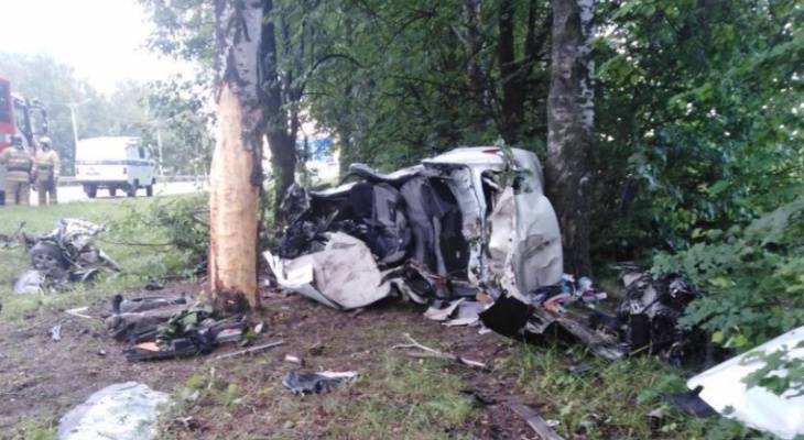 В Чебоксарском районе Renault&nbsp;Logan влетел в дерево, два человека погибли