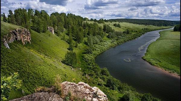 Высоковольтный провод убил рыбу в российской реке