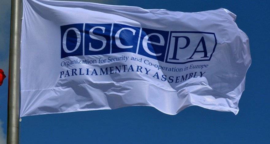Грузинского депутата выбрали главой Парламентской ассамблеи ОБСЕ