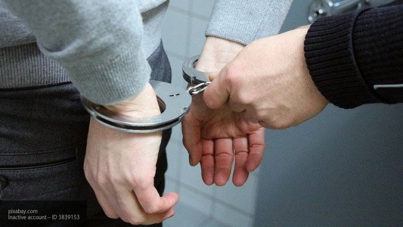 Полиция задержала двух педофилов в Ленобласти