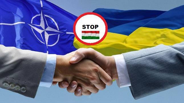 Венгрия снова предложила Украине путь в НАТО в обмен на родной язык для нацменьшинств