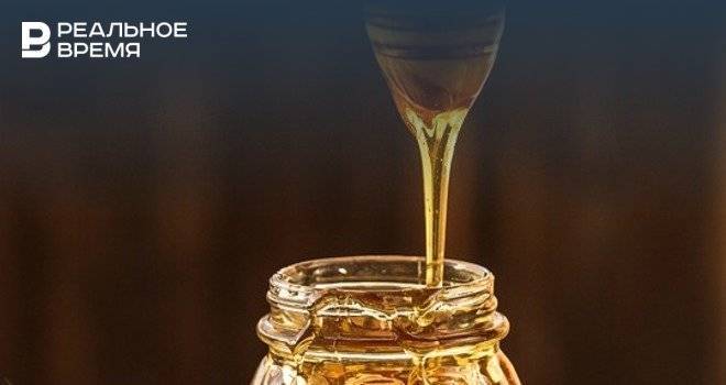 В Татарстане может снизиться производство меда из-за массовой гибели пчел