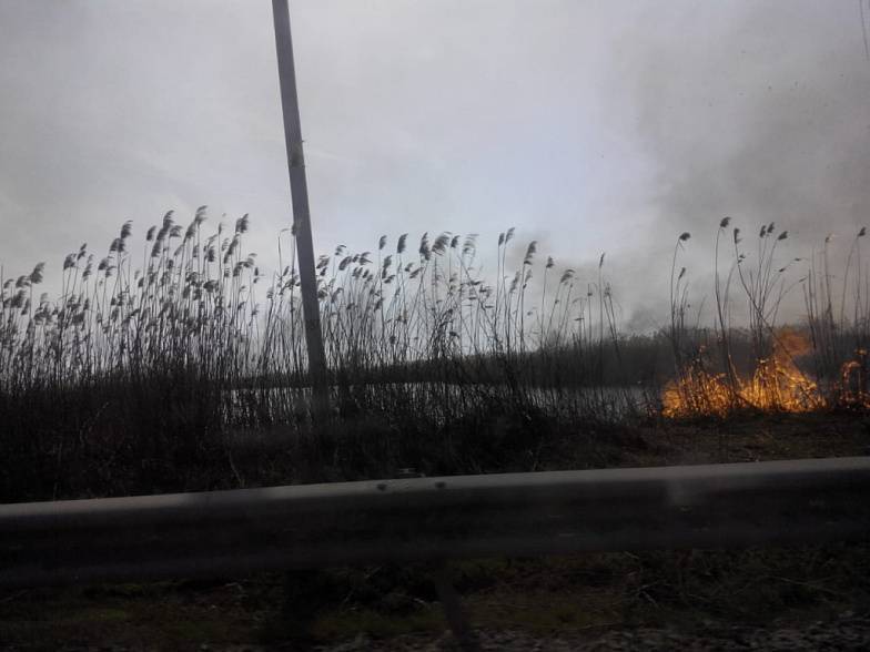 В Ростове сохраняется высокая пожароопасность